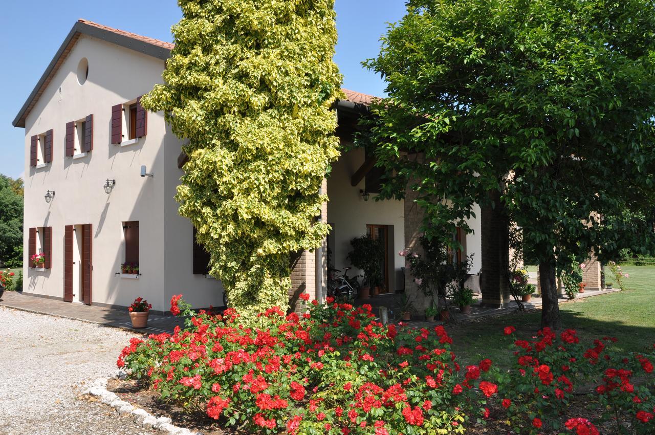 Agriturismo Ancillotto Meolo Екстер'єр фото